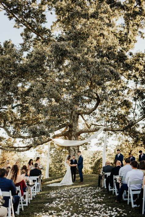 Backyard Wedding Under Tree, Outdoor Wedding Tree, Wedding Ceremony Under Tree, Ceremony Under Tree, Outdoor Wedding Altar, Wedding Under Trees, Tree Wedding Ceremony, Wedding Isles, Wedding Altars