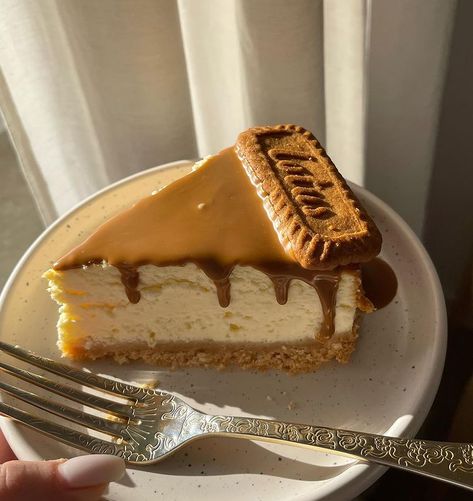 Lotus Cheesecake, Soft Cookie Recipe, Tumblr Food, Easy Dessert Recipe, Lotus Biscoff, Rich Desserts, Yummy Comfort Food, Pastry And Bakery, Delicious Snacks Recipes