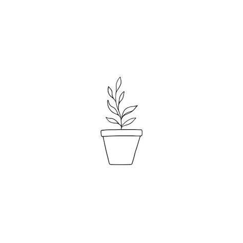 Potted Plant Tattoo, Plant Tattoo, Plant Design, Potted Plants, Tattoos, Plants, Design