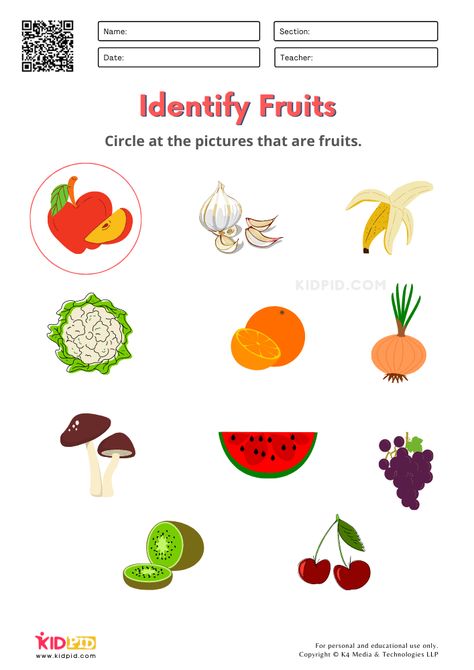 Fruits and Vegetables / FREE Printable Worksheets for Kindergarten Choose Your Fruit Evs Work Sheets For Kindergarten, Gk Worksheets For Kindergarten, Evs Worksheets For Kindergarten, Vegetables Kindergarten, Vegetable Worksheets Preschool, Circle The Fruits Worksheet, Vegetables Worksheets Kindergarten, Fruit Worksheets For Kids, Fruits Worksheets For Kindergarten