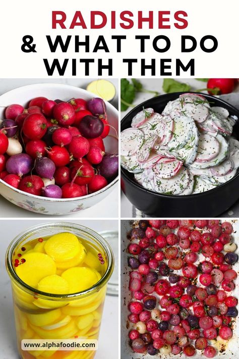 What are radishes and how to use them - a simple guide. Including how to cut radishes, the best way to store them, and my top radish recipes to enjoy these crunchy, peppery, fresh root veggies! How To Cook Radishes, Radish Recipes, Csa Recipes, Root Veggies, Baked Eggplant, Cooked Veggies, Garden Recipes, Food Garden, Seasonal Recipes