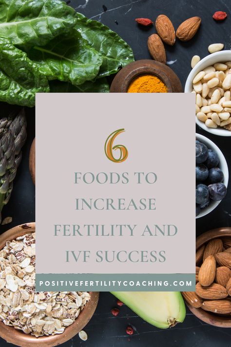 Research has shown that nutrition choices play a big part in improving your chances of getting pregnant and increasing IVF success. 

Here are 6 foods you can easily add to your diet that support fertility, fertility health, and your overall fertility/ IVF journey. Ivf Preparation, Ivf Diet, Increase Fertility, Ivf Journey, Fertility Foods, Egg Quality, Fertility Health, Ivf Success, Fertility Diet