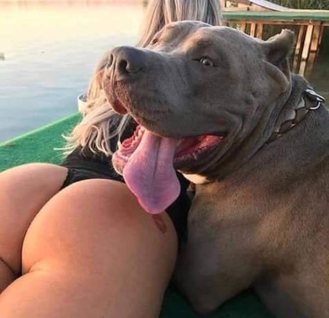 @babyfacekillaaa Pitbull Wallpaper, Bully Breeds Dogs, American Pitbull, Pitbull Puppy, Bully Dog, Pit Bull Love, Pitbull Puppies, Pitbull Lover, Bully Breeds