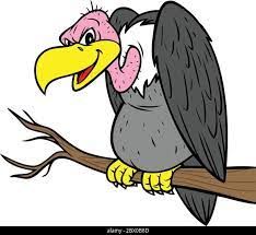 Vulture- A Cartoon Illustration of a Vulture Stock Vector Image & Art - Alamy Vulture Images, Cartoon Vulture, Illustration Cartoon, Drawing Projects, Cartoon Faces, A Cartoon, Illustration Vector, Cartoon Illustration, Vector Photo