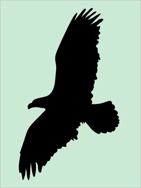 Eagle Outline, Eagle Silhouette, Eagle Drawing, Silhouette Template, Silhouette Painting, Silhouette Clip Art, Wood Burning Patterns, Silhouette Stencil, Bird Silhouette