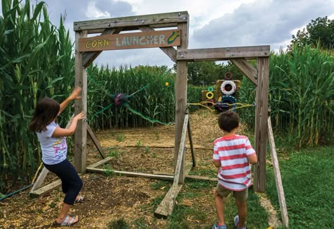 Corn launcher fun on the farm. #familyfun #oregondairy #corncob #fallfun #corncoblauncher #farmfun #funonthefarm #lancasterpa #lancastercounty #lancastercountypa #eastcoast #centralpa #pennsylvania #discoverlancaster #visitpa Fall Farm Festival, Fun Farm Ideas, Pumpkin Patch Obstacle Course, Pumpkin Launcher, Hay Bale Obstacle Course, Agrotourism Ideas Farms, Corn Maze Ideas Activities, Farm Playground, Hay Bale Playground