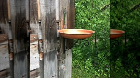 Breathe New Life Into Old Pots And Pans With These Genius Repurposing Hacks Upcycle Old Pots And Pans, Old Pots And Pans Repurpose, Old Pots And Pans, Old Pots, Design Hacks, Pie Tin, Candle Pedestal, Cast Iron Pot, Trendy Diy