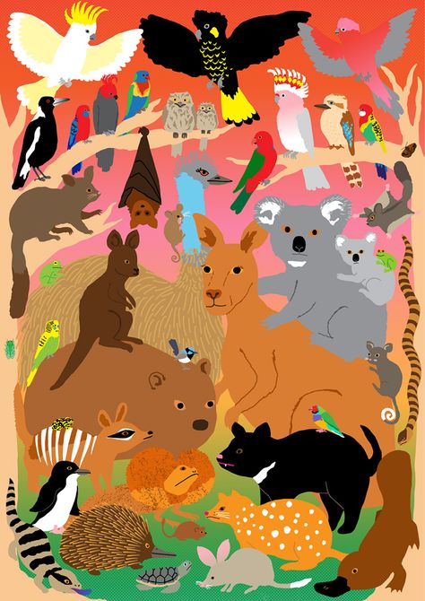 Alice Oehr Australian Fauna, Australian Birds, Australian Animals, Large Animals, Pikachu, Snoopy, Mural, Books, Animals