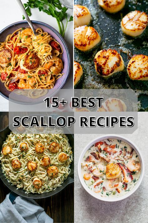 Whether you're looking for a scallops dinner recipe, how to cook scallops, or scallop appetizers, these 15+ Best Scallop Recipes are for you! #scalloprecipes #scallops #seafoodrecipes Scallop And Shrimp Pasta, Scallops Dinner, Best Scallop Recipe, Scallop Dinner, Cook Scallops, Scallop Appetizer, Easy Scallop Recipes, Fried Scallops, How To Cook Scallops