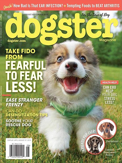 Dogster: Amazon.com: Magazines Pet Magazine, Western Horseman, Animal Magazines, Dog Pop, Dog Magazine, National Geographic Kids, National Geographic Magazine, Boredom Busters, Magazine Cover Design