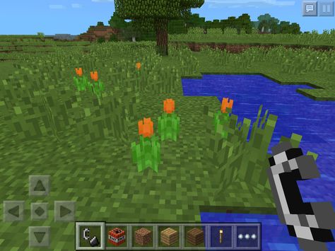 Because I am a FREAKING nerd, I was playing minecraft, and I found some ORANGE TULIPS, and I thought #TFIOS!! Playing Minecraft, Orange Tulips, How To Play Minecraft, Golf Courses, Tulips, Minecraft, Orange, Art