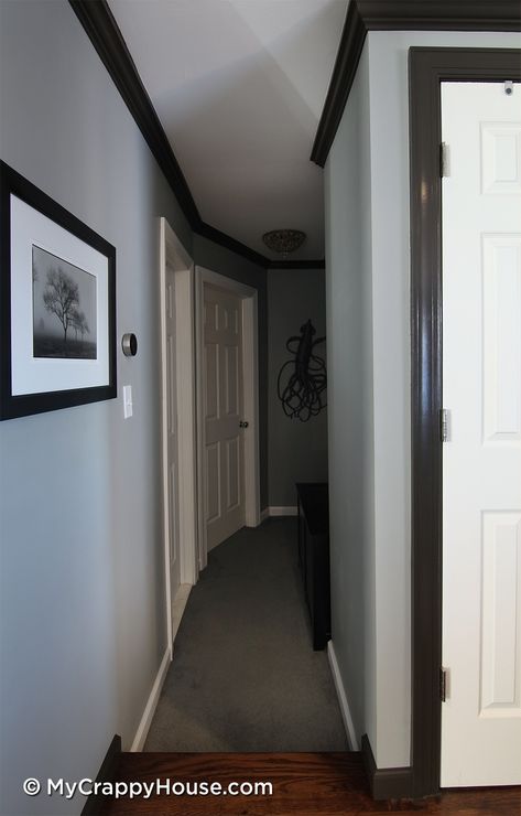 Grey Wall Black Trim, Dark Trim Light Walls Grey Gray Paint, Light Grey Walls With Black Trim, Black Interior Doors With White Trim Grey Walls Paint Colors, Painting White Trim, Black Trim Grey Walls, Black Interior Doors With White Trim Dark Wood Floors, Black Trim Interior, Door Plan