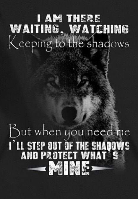 Wolf Pack Quotes, Lone Wolf Quotes, Waiting You, Wolf Life, Wolf Quotes, Gray Wolf, Quotation Marks, Warrior Quotes, Soul Quotes