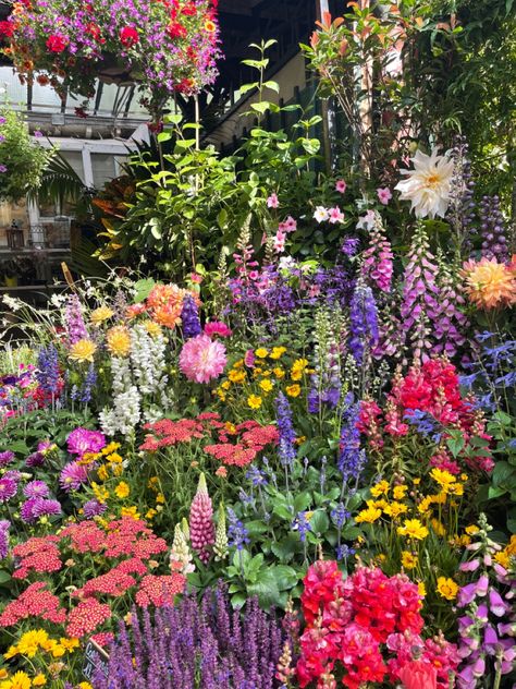 Colorful Garden Aesthetic, Floral Garden Design, Floral Garden Aesthetic, Colorful Flower Garden, Snap Dragon Garden, Wild Flower Garden Front Yard, Rainbow Flower Garden, Beautiful Flower Garden, Garden Astethic