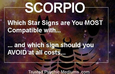 Which Star Signs Should Scorpio Date? Scorpio Season Dates, Scorpio Men Dating, Scorpio Dates, Taurus Dates, About Scorpio, Scorpio Star Sign, Scorpio Man, Horoscope Dates, Signs Horoscope