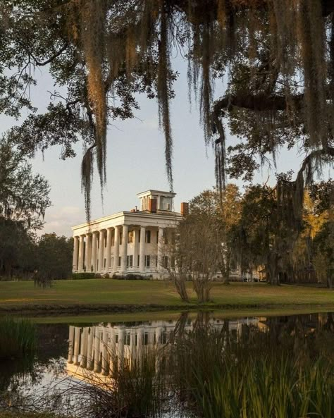 Lafayette Louisiana Aesthetic, Southern Old Money Aesthetic, Louisiana Aesthetic, Antebellum Mansions, Magnolia Promenade, New Orleans Aesthetic, Old Southern Plantations, America Pictures, Louisiana Culture