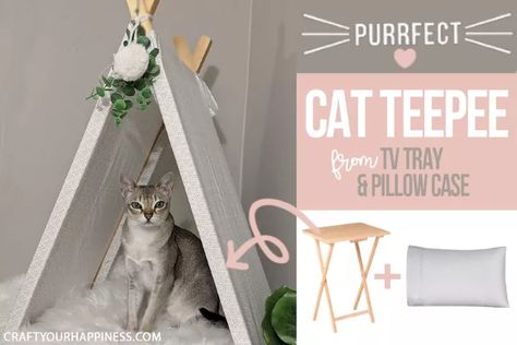 Cat Projects, Cat Teepee, Vintage Metal Trays, Accent Wall Stencil, Tv Tray, Cat Tent, Frugal Mom, Pet Projects, Diy Playbook