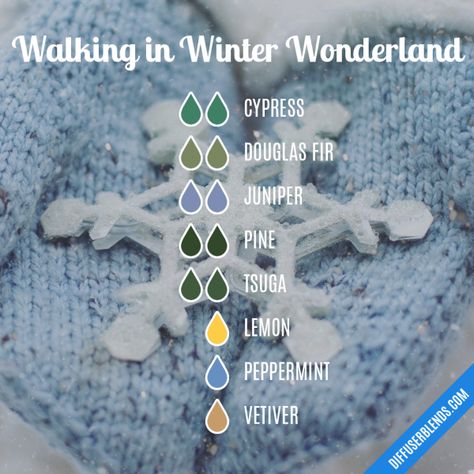 DiffuserBlends.com Winter Solstice Diffuser Blend, Winter Aromatherapy Blends, Fresh Rain Diffuser Blend, Midnight Forest Diffuser Blends, Woodsy Diffuser Blends, Birch Essential Oil, Best Smelling Essential Oils, Spring Diffuser Blends, Fall Essential Oils