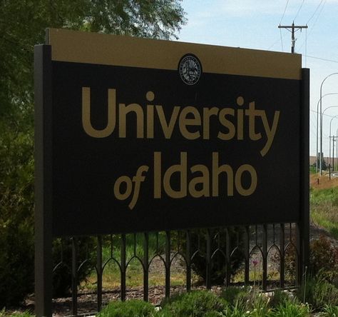 The University of Idaho University Of Idaho Aesthetic, Idaho Aesthetic, Moscow Idaho, College Goals, University Of Idaho, Inland Empire, Hobbies And Interests, Career Goals, All Smiles