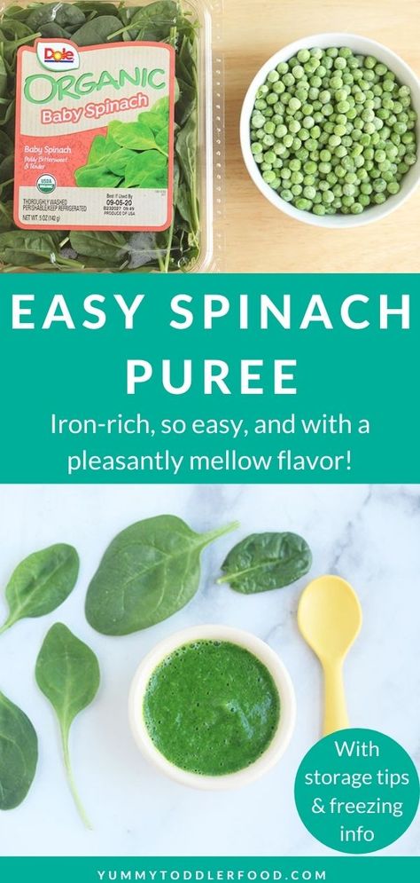 Transform simple ingredients into iron-rich baby food with just a few minutes of cooking and zero special kitchen tools! #babyfood #babyfoodideas #homemadebabyfood #spinachpuree #spinachbabyfood Spinach Puree Baby Food, Iron Rich Puree For Baby, Iron Rich Baby Food Purees, Iron Rich Baby Food Recipes, Spinach Baby Food Recipes, How To Store Spinach, Spinach Baby Food, Iron Rich Baby Food, Baby Spinach Recipes