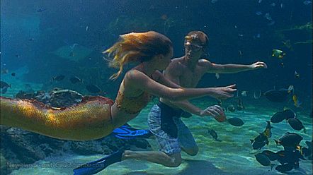 Mermaid Gif, Swimming Gif, Mermaid Gifs, Teenage Werewolf, Professional Mermaid, Mermaid Board, H2o Mermaids, Mako Mermaids, Mermaid Swimming