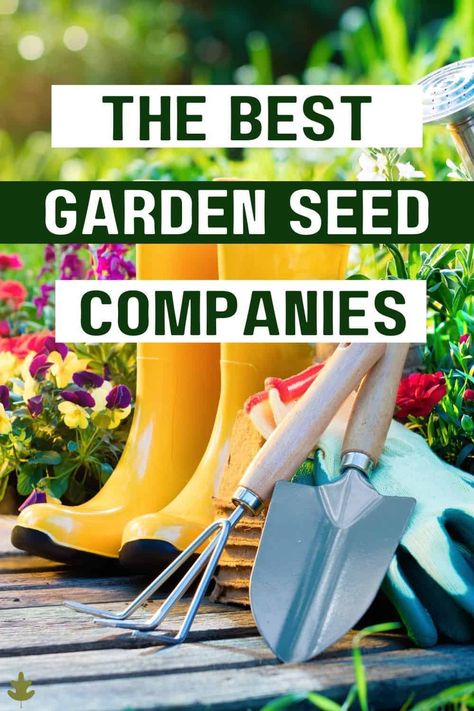 Heirloom Seeds Catalog, Seed Companies, Household Plants, American Garden, Seed Shop, Heirloom Vegetables, Seed Catalogs, Organic Soil, Vegetable Seeds