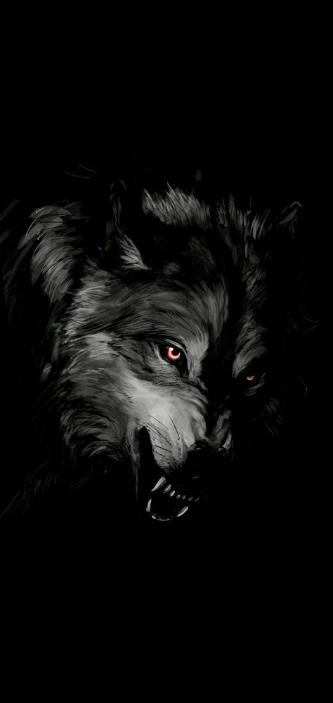 Lone Wolf Pictures, Wolf Black Wallpaper, Wolf Dark Wallpaper, Demon Wallpaper Dark, Angry Wolf Wallpaper, Wolf Wallpaper Dark, Dark Wolf Wallpaper, Wolf Profile Picture, Lone Wolf Aesthetic