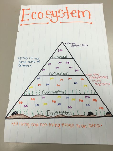 Ecosystem anchor chart Ecosystem Anchor Chart, Ecosystem Drawing, Ecosystem Activities, Ecosystems Projects, Ap Environmental Science, Science Homework, Science Anchor Charts, Second Grade Science, 7th Grade Science