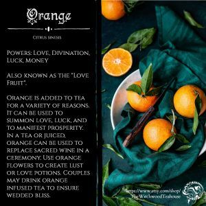 Orange Tea Ingredient – Witchcraft & Pagan Lifestyle Blog, The Magick Kitchen Pagan Lifestyle, Magickal Herbs, Witch Herbs, Orange Tea, Kitchen Witchery, Magic Herbs, Magical Herbs, Herbal Magic, Food Lifestyle