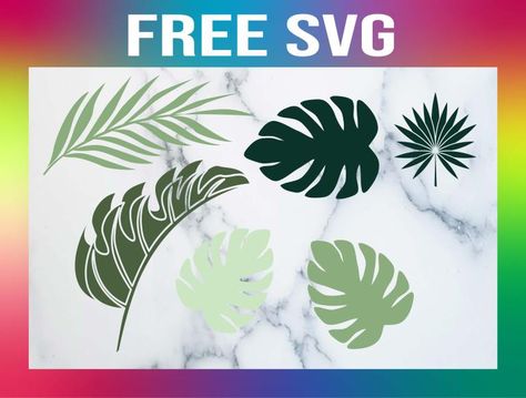 Free Leaf SVG Bundle - DOMESTIC HEIGHTS Monstera Svg Free, Free Leaf Svg, Leaf Svg Free, Cricut Corner, Leaf Svg, Baby Spiderman, Svg Templates, Idee Cricut, Svg Bundles