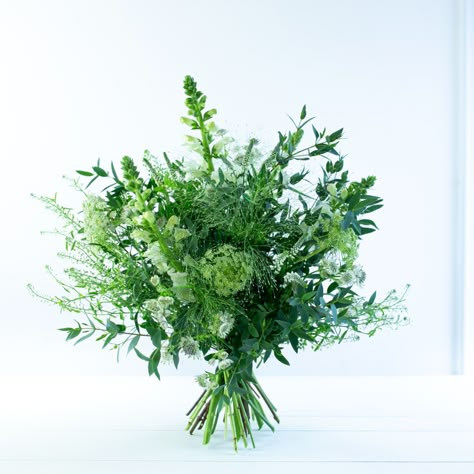 Serene, classic shades of white and green make this timeless design the perfect choice for those who love a more neutral palette. The bouquet over-flows with antirrhinum, dill, fountain grass, thlaspi and pretty astrantia, finished with Irish eucalyptus and foliage. #valentines #bouquet #flowers #ValentinesDay Green Foliage Bouquet, Bells Of Ireland Bouquet, Valentines Bouquet, Foliage Bouquet, Bouquet Green, Wedding Nature, Modern Florals, Grass Bouquet, Mother's Day Bouquet