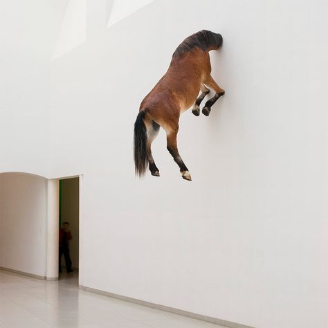 Controversial Sculptures by Maurizio Cattelan - Inspiration Grid | Design Inspiration Maurizio Cattelan, Women Artist, Taxidermy Art, Horse Sculpture, Italian Artist, Sculpture Installation, Pics Art, Public Art, Art Sculpture