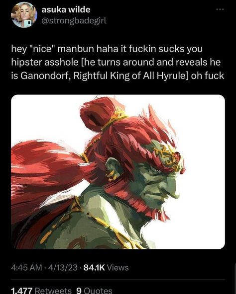 Ganondorf Tears Of The Kingdom Fanart, Zelda Au, Botw Zelda, Legend Of Zelda Memes, Zelda Funny, Zelda Breath, Zelda Art, Twilight Princess, Gaming Memes