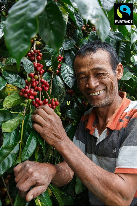 25 million smallholder farmers grow 80% of the world’s #coffee, yet many can't earn a dependable living. See what can be done to fix this: http://fairtradeamerica.org/en-us/farmers-and-workers/coffee Brazil Coffee, Modern Gardening, Coffee Farmers, Food Justice, Coffee Origin, Coffee Facts, Fair Trade Coffee, Coffee World, Coffee Farm