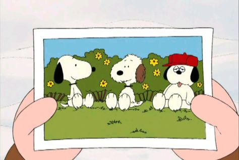 Snoopy Family (29) Olaf Snoopy, Snoopy Family, Charlie Brown Characters, Peanuts Party, Woodstock Snoopy, Wallpaper Notebook, Snoopy Pictures, Snoop Dog, Snoopy Friends