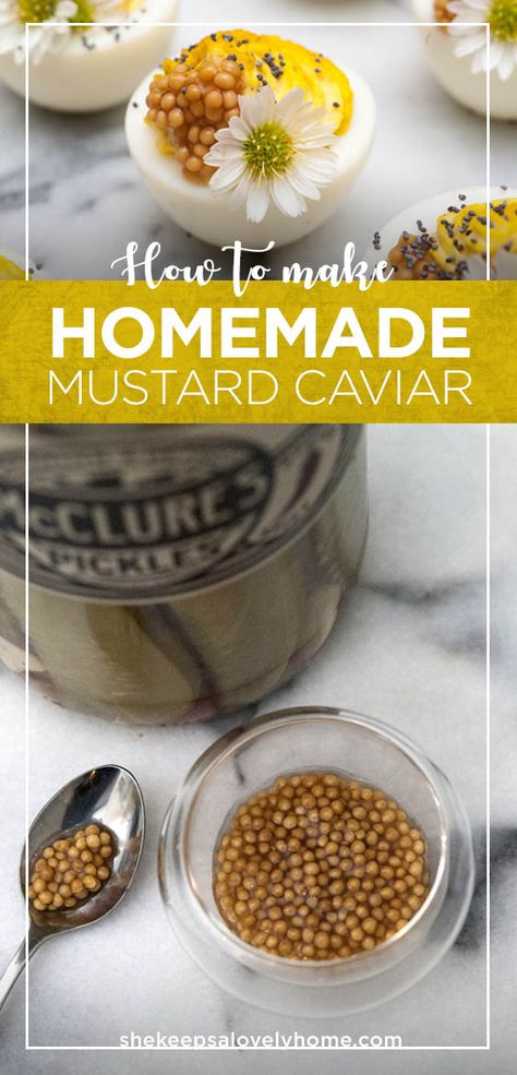 Mustard caviar adds pops of flavor and such an exciting texture to your appetizers, and it couldn’t be easier to make yourself! Here’s how to make mustard caviar for all of your deviled egg recipes. #caviar, #appetizer #homemade #homemaderecipes Mustard Seed Caviar, Mustard Caviar, How To Make Caviar, How To Serve Caviar Appetizers, Making Caviar, Caviar Butter, How To Serve Caviar, Caviar Appetizers, Molecular Food