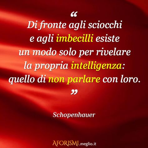 Di fronte agli sciocchi e agli imbecilli esiste un modo solo per rivelare la propria intelligenza: quello di non parlare con loro. (Arthur Schopenhauer) Oscar Wilde Quotes, Arthur Schopenhauer, Spiritual Protection, Special Words, Oscar Wilde, My Way, Love Life, Cool Words, Einstein