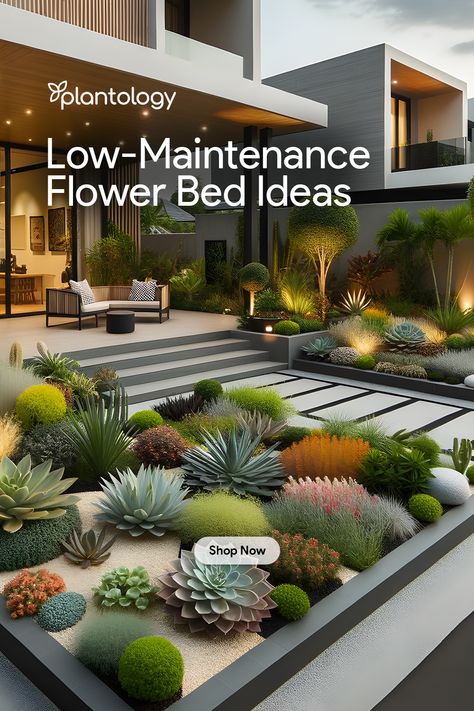 Low-maintenance flower bed from Plantology offering a season-long display of vibrant blooms. Low Maintenance Flower Bed, Planters Boxes, Yard Plants, Flower Bed Designs, Plant Box, Low Maintenance Garden, Annual Flowers, Low Maintenance Plants, Hardy Plants