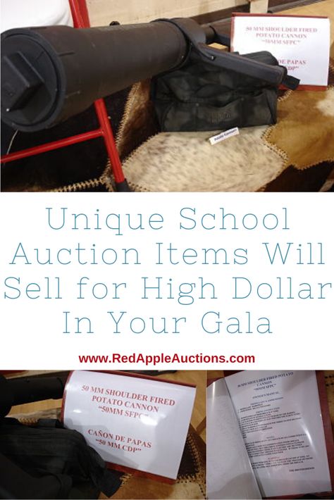 Potato Cannon, Class Auction Item, Live Auction Items, Auction Donations, Fundraising Activities, Solar System Crafts, School Auction, Hundreds Chart, Auction Fundraiser