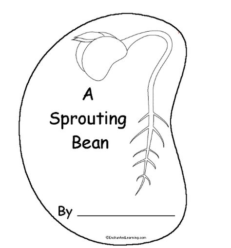 bean book 1 Plant Growth Chart, Plant Diagram, Homeschool Science Lessons, Plant Books, Plants Kindergarten, Preschool Garden, Plants Unit, 1st Grade Science, Beginning Readers