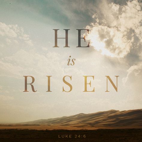 "Ele não está aqui, mas ressuscitou." Lc 24:6 He Is Risen Indeed, Son Of Man, Who Is Jesus, Jesus Is Alive, He Has Risen, Daily Bible Reading, Words Of Hope, Daily Bible Study, He Is Risen