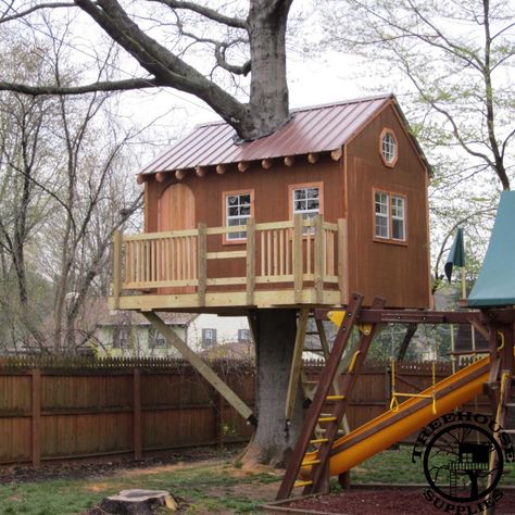 Treehouse Platform, Treehouse Plans, Tree Platform, Adult Tree House, Custom Treehouse, Treehouse Construction, Treehouse Design, Simple Tree House, Tree House Plans