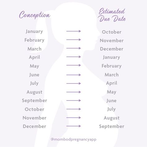 Conception Date Due Date, Conception Date, Date Month, Due Date