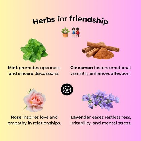 🌱💚 #nature #witch Hoodoo Magic, Nature Witch, Kitchen Witchery, True Friendship, Natural Phenomena, Body And Soul, Safe Space, The Fosters, Cinnamon