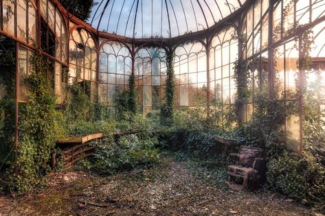 Abandoned and Overgrown Greenhouse photo by Andy Schwetz [2048x1365] Aesthetic Pleasing, Highschool Au, Carolina Do Norte, Building Aesthetic, Sunken Garden, Abandoned Castles, Hobbit House, Abandoned Mansions, Black Sheep