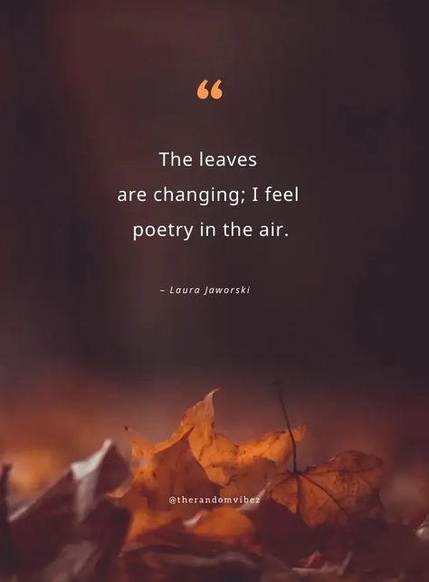 Autumn Love Quotes, Leaves Quotes, Fall Season Quotes, Hello Fall Quotes, Leaf Quotes, October Quotes, Singing In The Car, Ending Quotes, Season Quotes