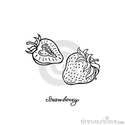 strawberry-two-black-white-berries-hand-drawn-flat-image-vector-illustration-white-background Strawberry Slice Drawing, Strawberry Tattoo, White Berries, White Strawberry, Strawberry Slice, Outline Designs, Cute Strawberry, Image Vector, Line Illustration