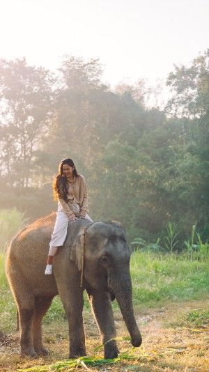 Safest Places To Travel, Life In Paradise, Thailand Elephants, Elephant Ride, Thailand Adventure, Northern Thailand, Koh Tao, Adventure Tours, Wallpapers Backgrounds