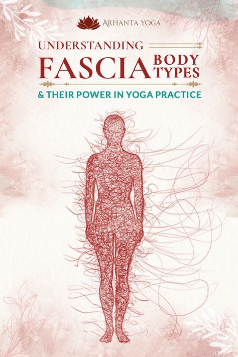 Fascia Matrix and Fascia Archetypes Fascia Exercises, Fascia Yoga, Yoga Readings, Yoga Knowledge, What Is Fascia, Sacral Chakra Yoga, Yoga Alignment, Fascia Release, Fascia Stretching