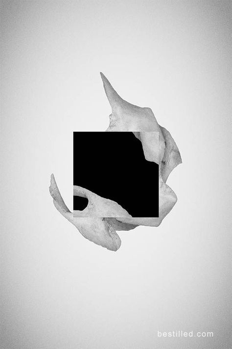 Skull Collage, Square Tattoo, Art In Black And White, Tiger Skull, Surreal Tattoo, Shape Collage, Abstract Art For Sale, Calendar Ideas, Abstract Art Wallpaper